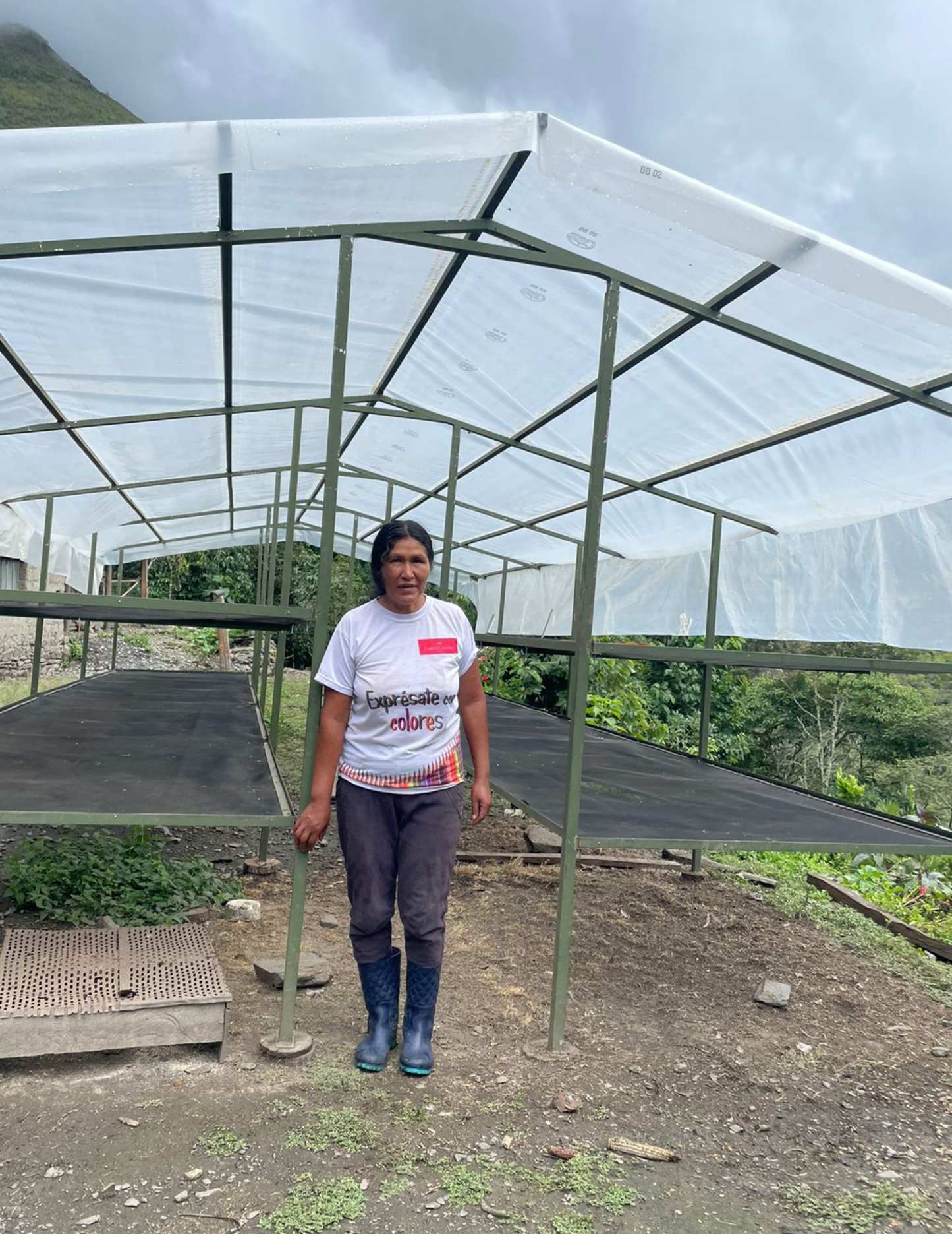 Peru - Yolanda Cabrera | filter - Gust Coffee Roasters