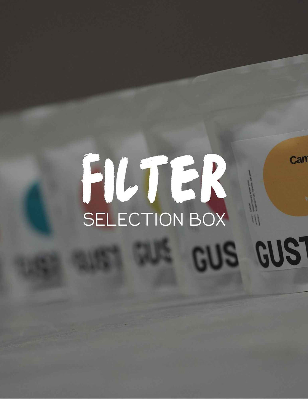 FILTER SELECTION BOX