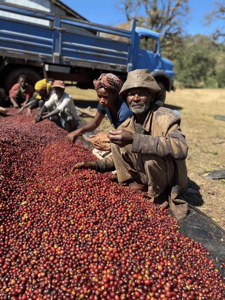 Ethiopia - Redo | espresso