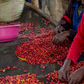 Rwanda - Nyamiyaga | filter - Gust Coffee Roasters