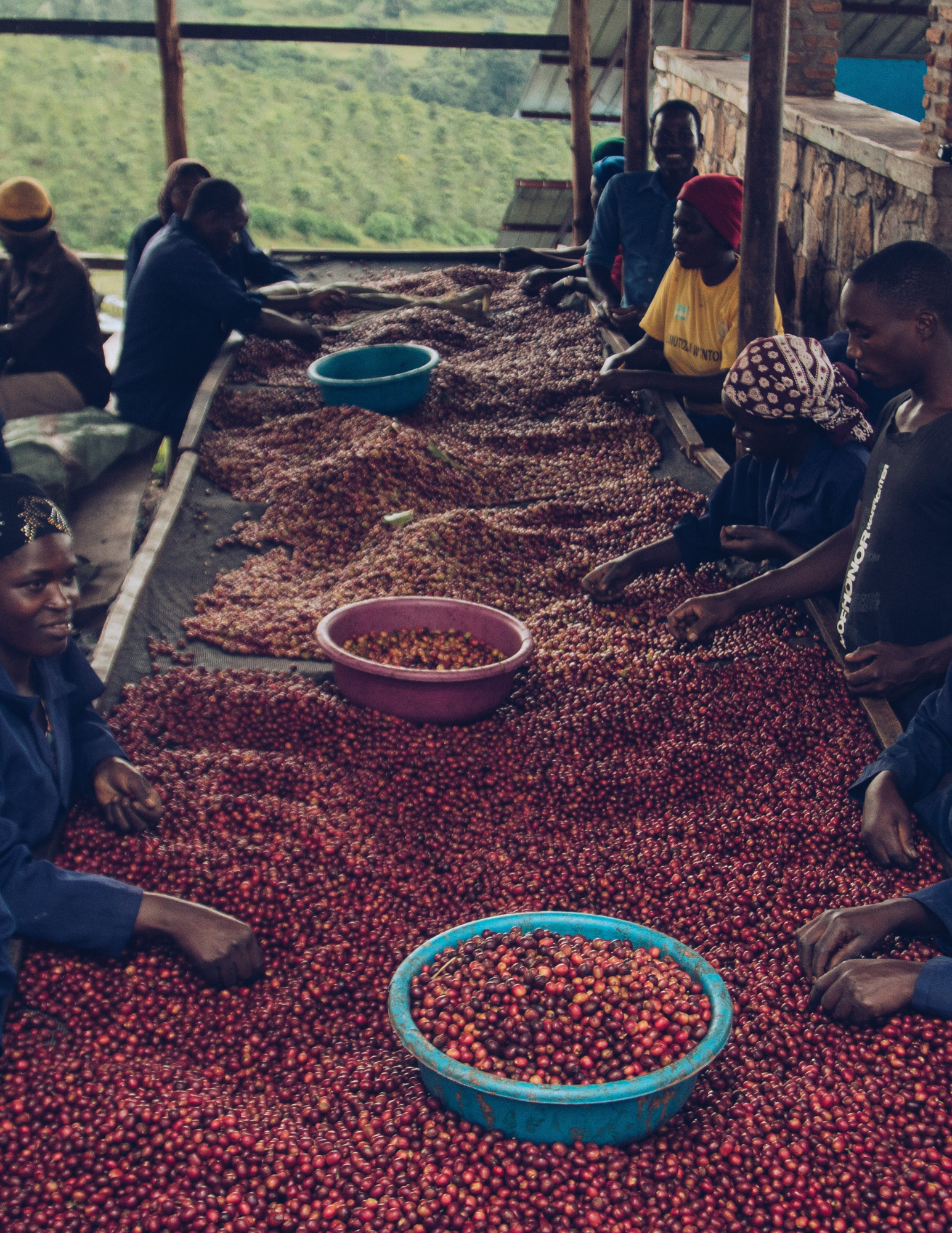 Rwanda - Nyamiyaga | filter - Gust Coffee Roasters