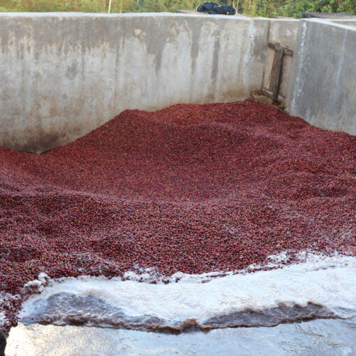 Kiamabara kenya