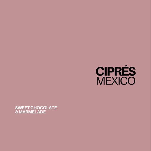Ciprés Mexico coffee, Gust Coffee, tenejapa, chiapas, specialty coffee
