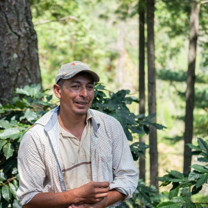 *NEW* HONDURAS - OPALACA | espresso - Gust Coffee Roasters