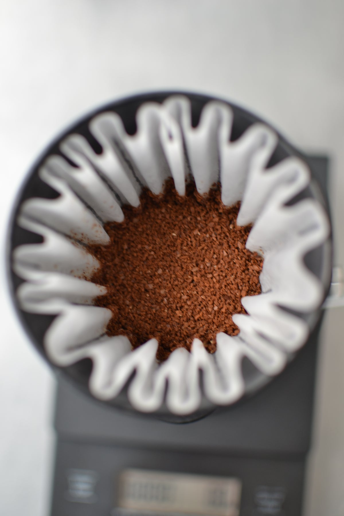 KALITA WAVE 185 FILTERS 4-cup | WHITE 100pcs