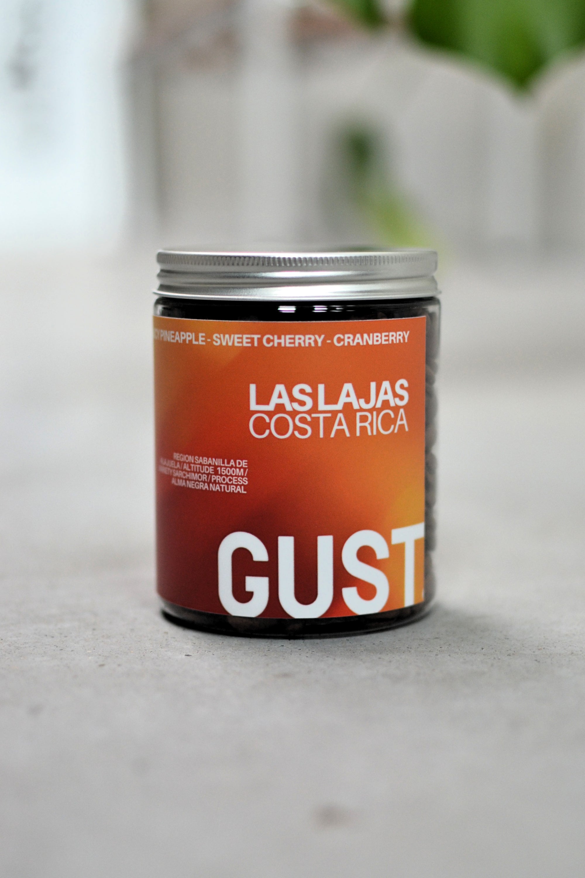 OMG Masterpiece // COSTA RICA - LAS LAJAS | omni - Gust Coffee Roasters