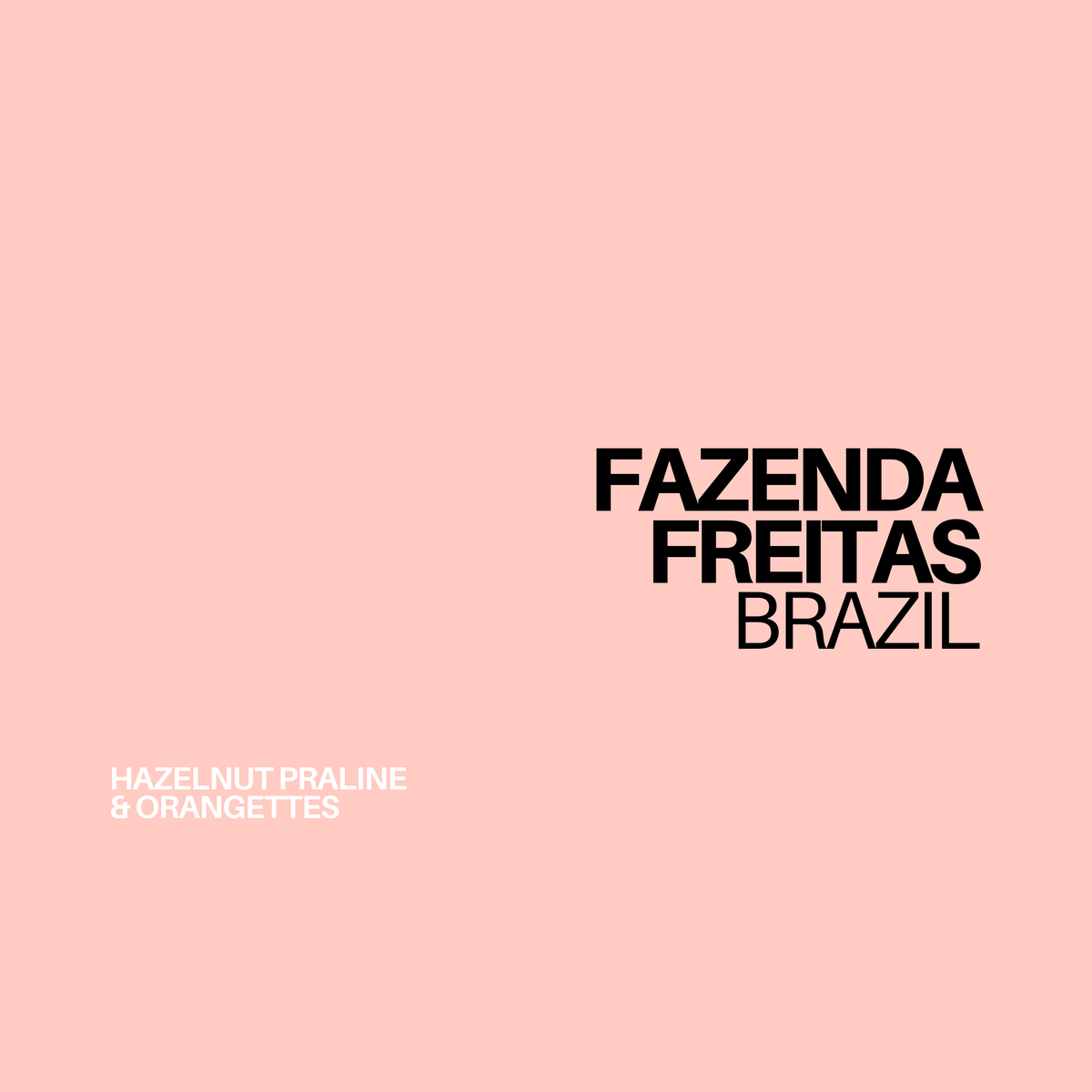 (NEW!) BRAZIL - FAZENDA FREITAS | espresso