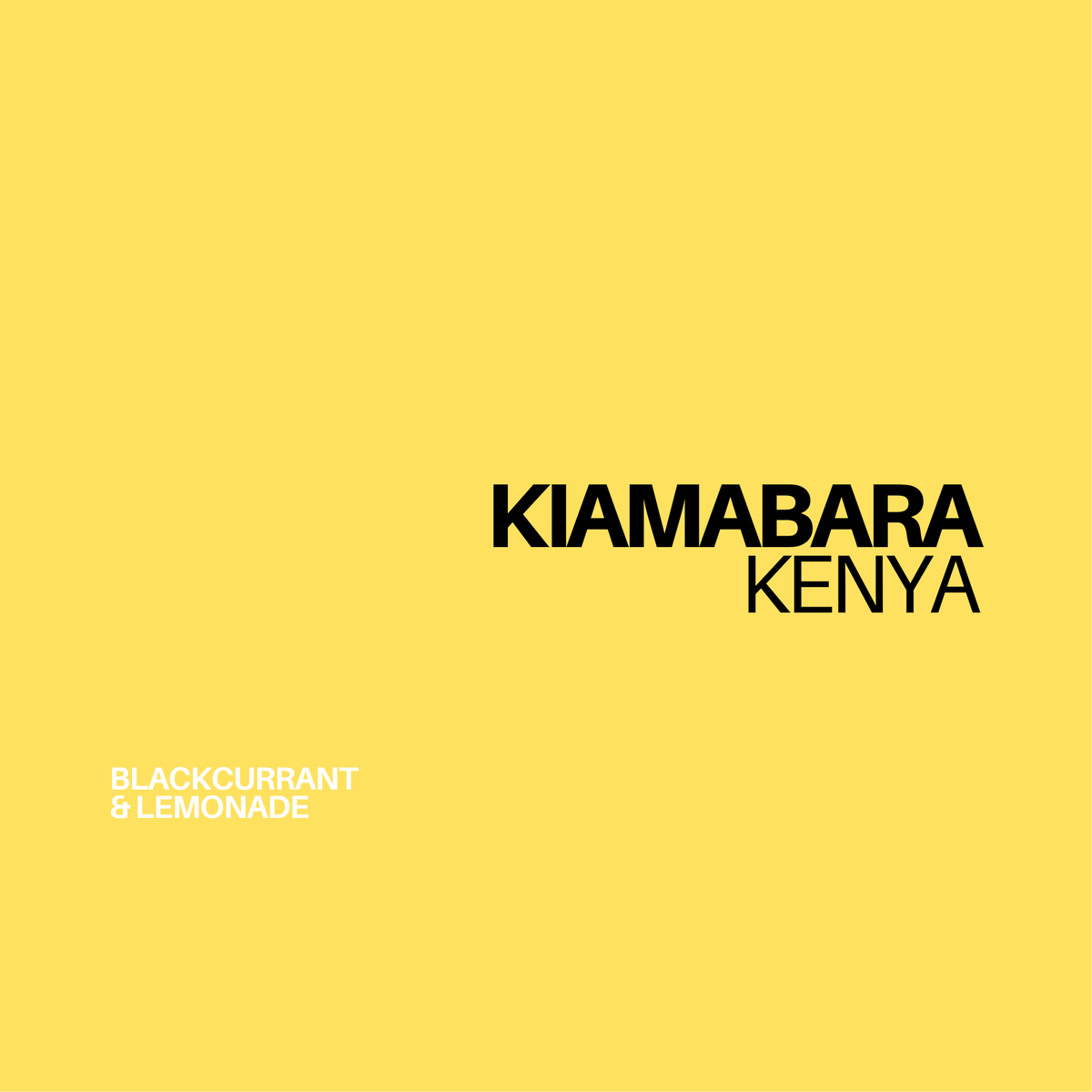 *NEW* KENYA - KIAMABARA | filter - Gust Coffee Roasters