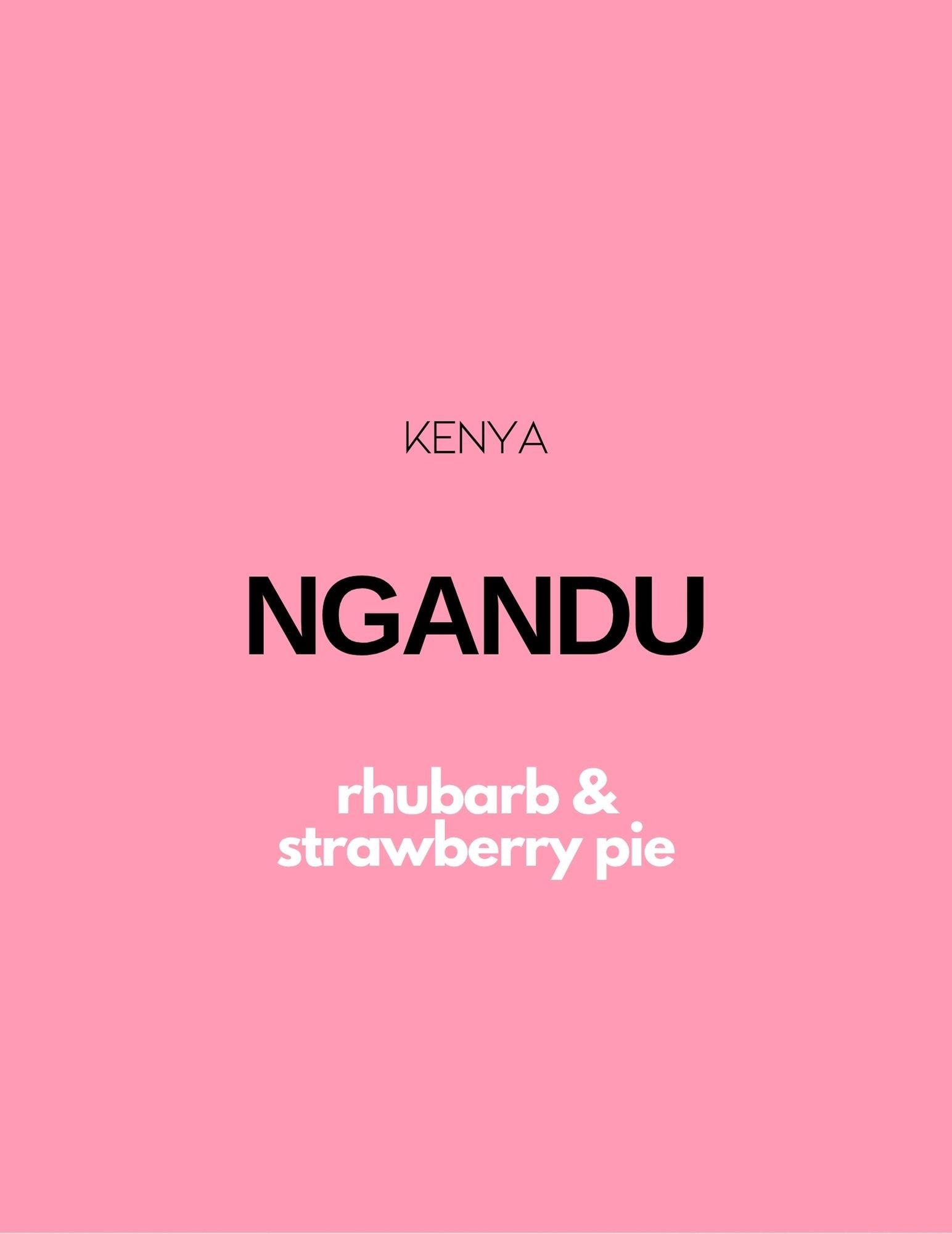 KENYA - NGANDU | espresso