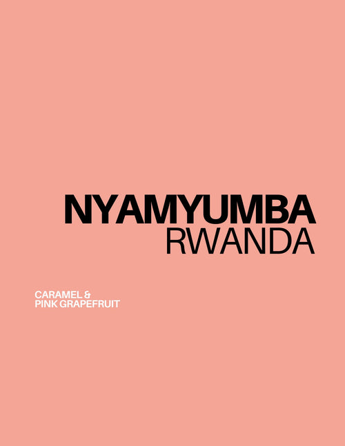 (!WINTER SPECIAL!) RWANDA - NYAMYUMBA | espresso