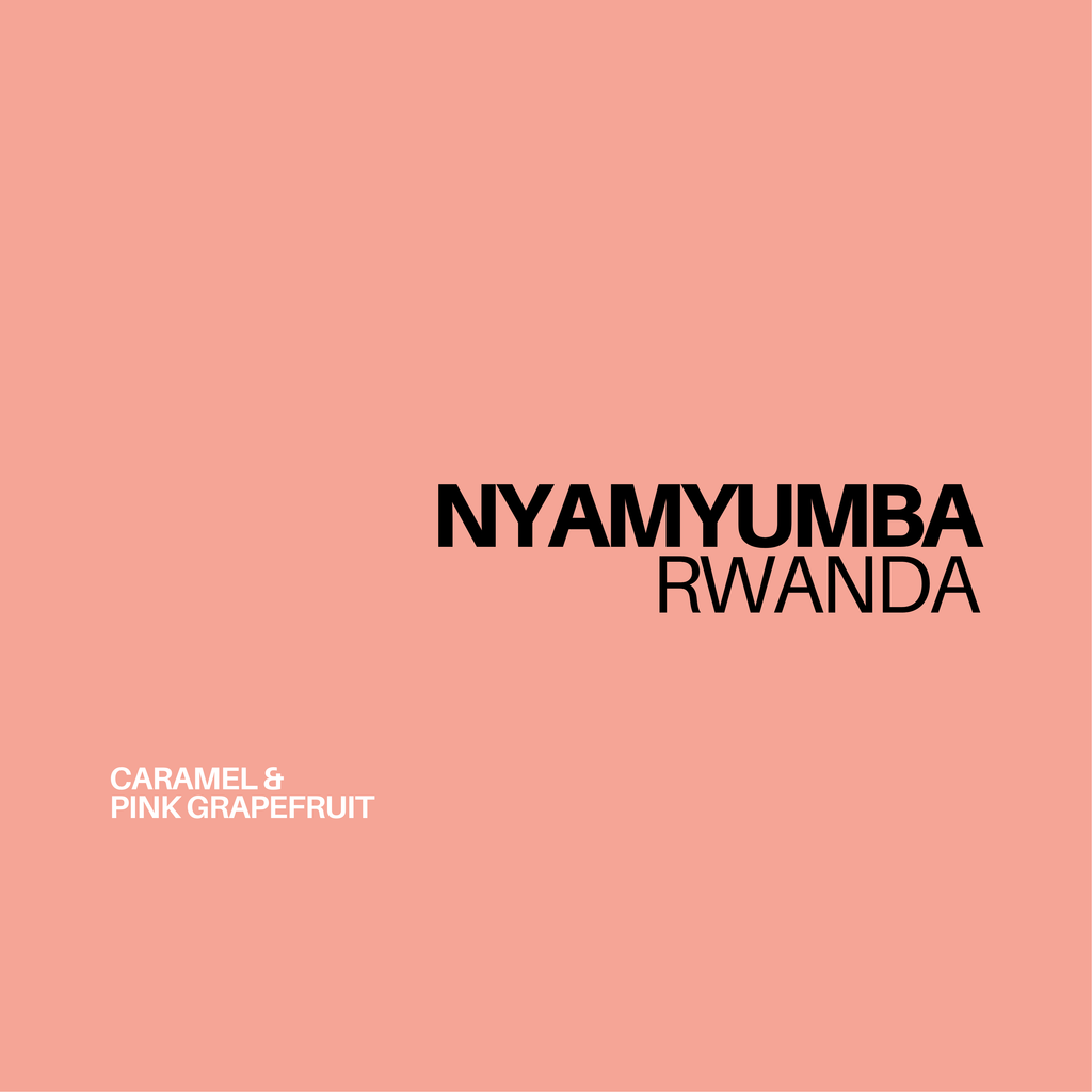 RWANDA - NYAMYUMBA | espresso - Gust Coffee Roasters