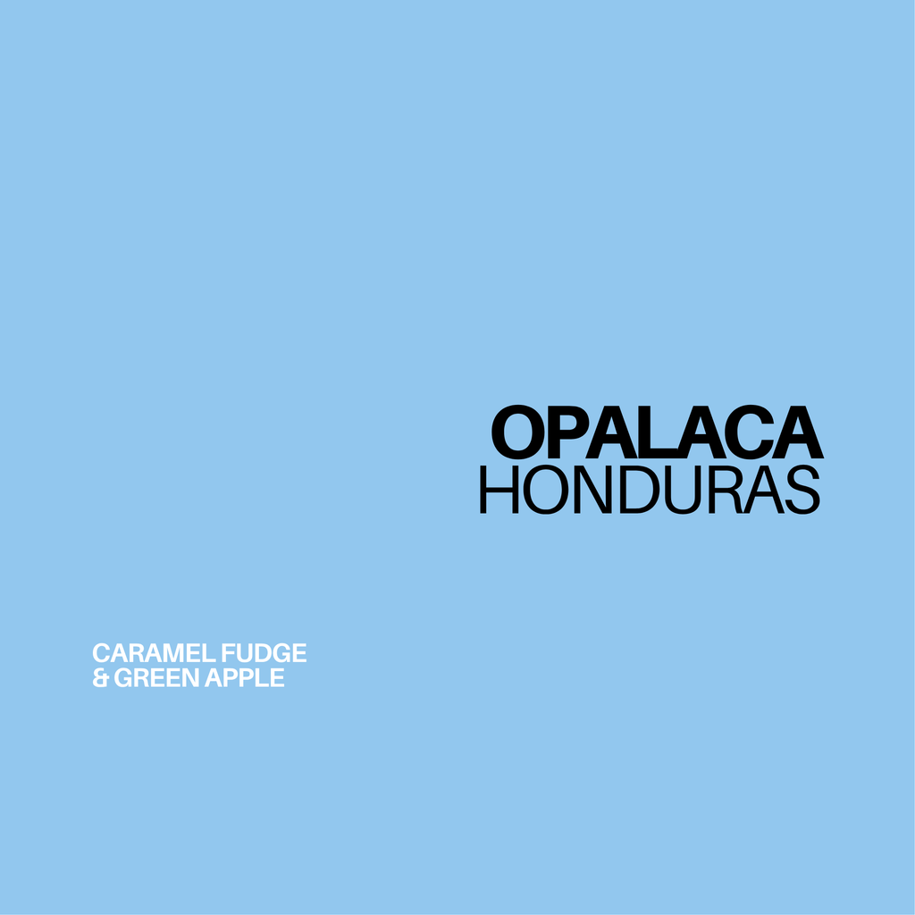 *NEW* HONDURAS - OPALACA | espresso - Gust Coffee Roasters