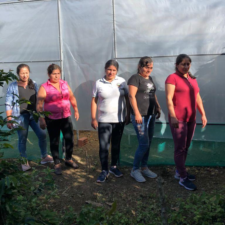 Peru La Prosperidad Gust Coffee Roasters