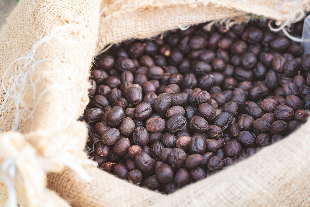 Fazenda Freitas - brazil - Fazenda Nunes coffee - Gust Coffee Roasters