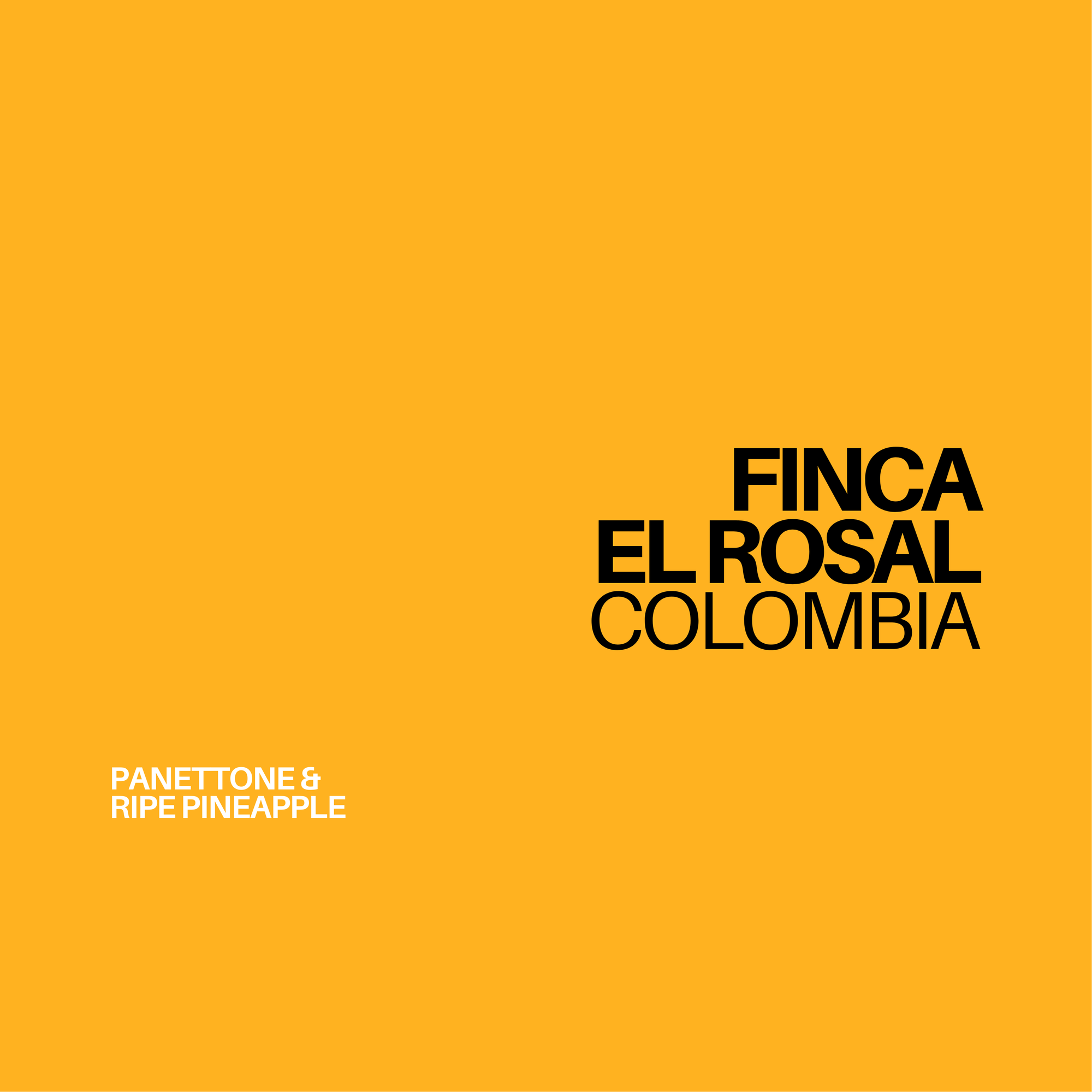 (NEW!) COLOMBIA - EL ROSAL (filter) - Gust Coffee Roasters