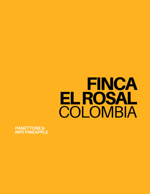 (NEW!) COLOMBIA - EL ROSAL (filter)
