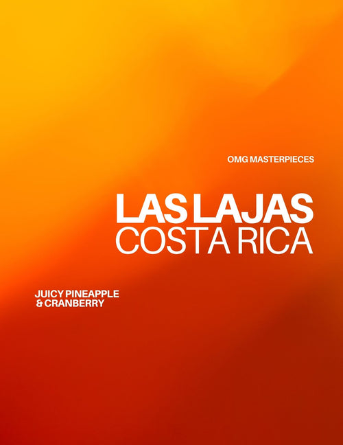 OMG Masterpiece // COSTA RICA - LAS LAJAS | omni - Gust Coffee Roasters