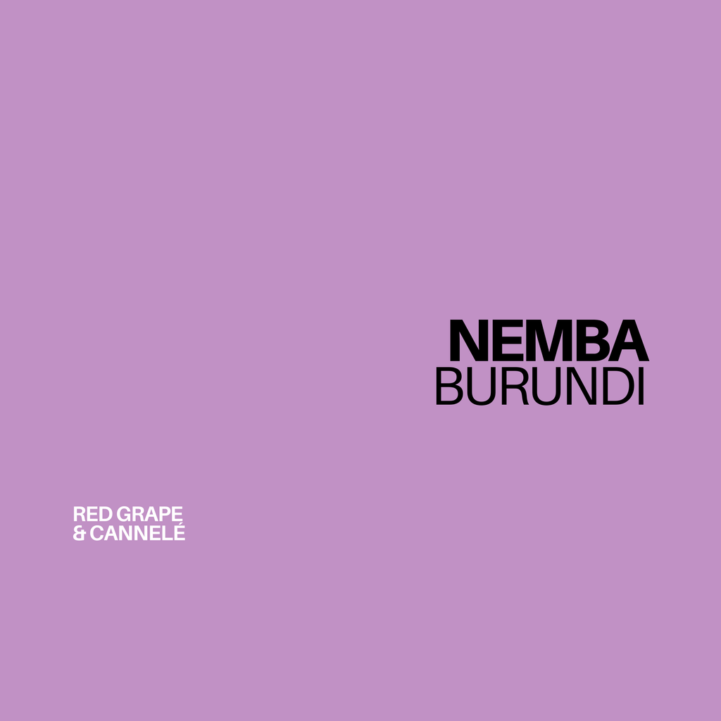 NEW// BURUNDI - NEMBA | filter - Gust Coffee Roasters