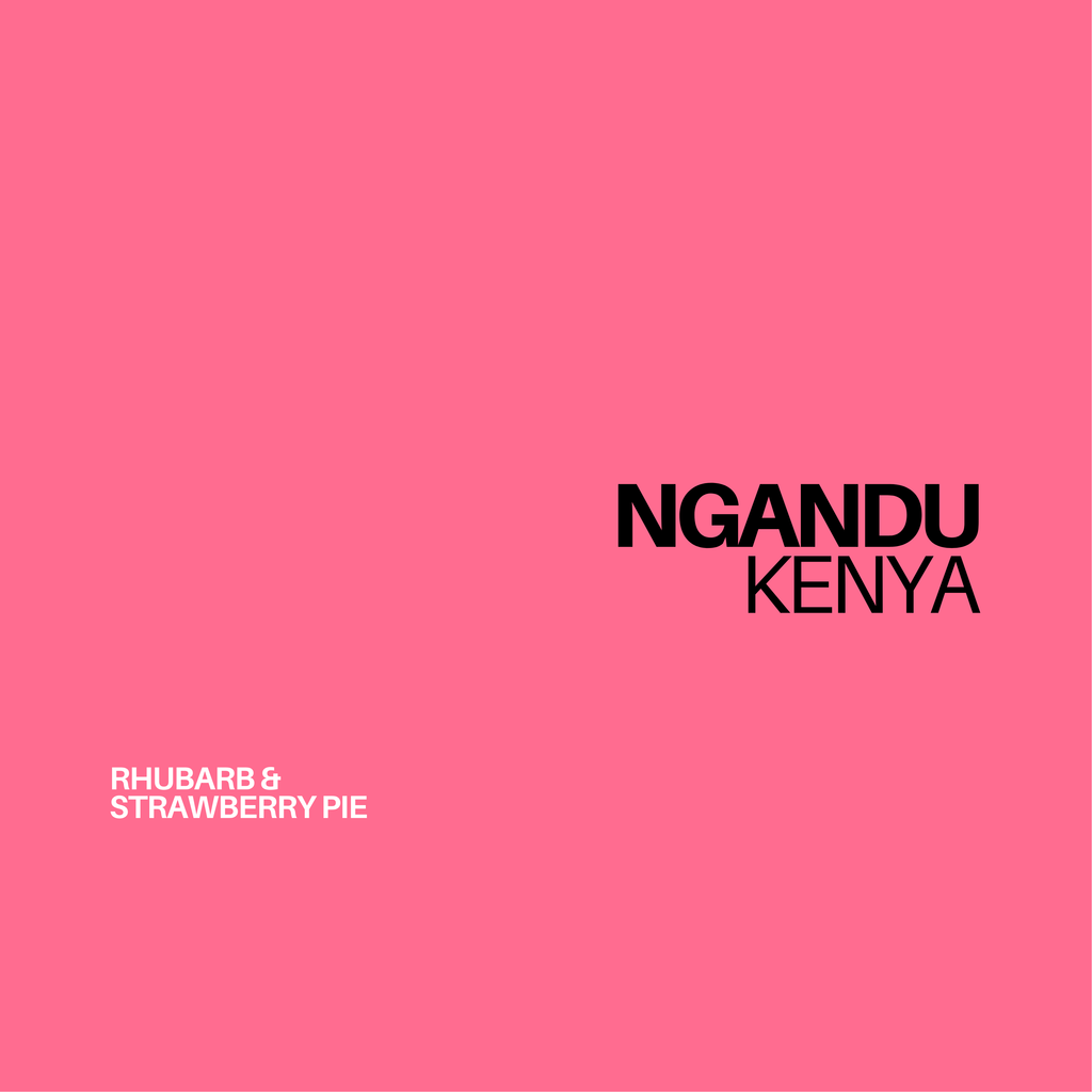 KENYA - NGANDU AA | espresso - Gust Coffee Roasters