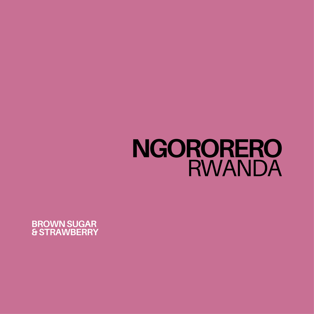 ngororero rwanda coffee, specialty coffee, coffee roasters belgium, brussels coffee, bourbon coffee