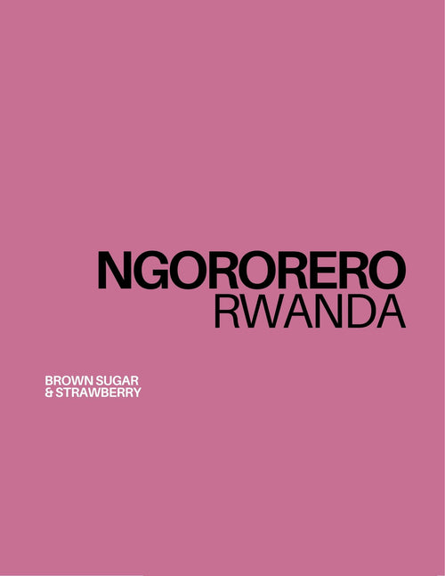 ngororero rwanda coffee, specialty coffee, coffee roasters belgium, brussels coffee, bourbon coffee