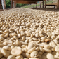 Peru - Yolanda Cabrera | filter - Gust Coffee Roasters
