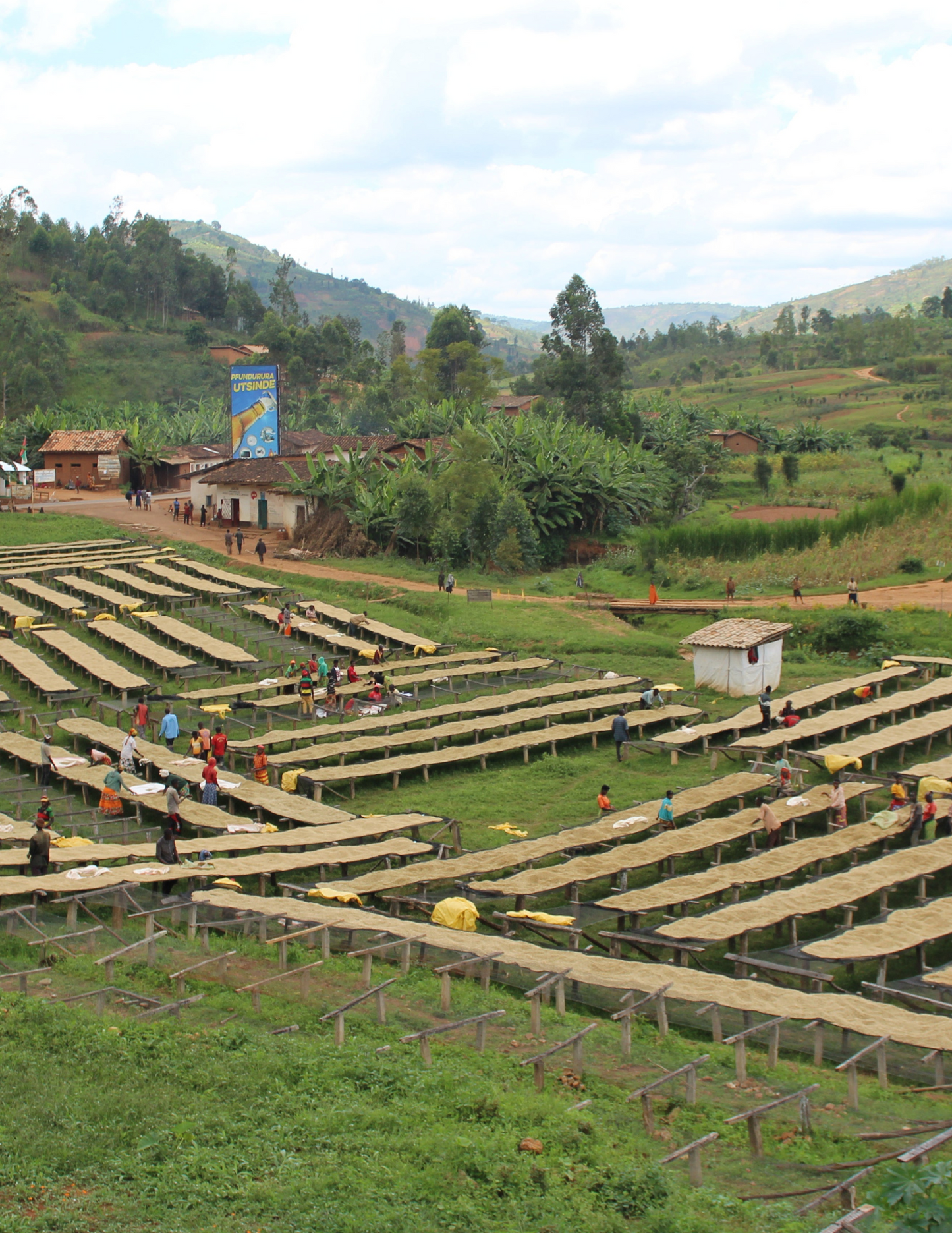 Burundi - Butegana Cima | filter