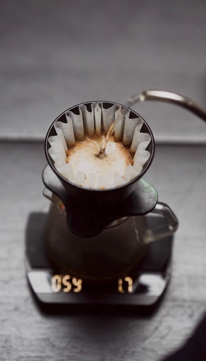 FILTER SELECTION BOX - Gust Coffee Roasters