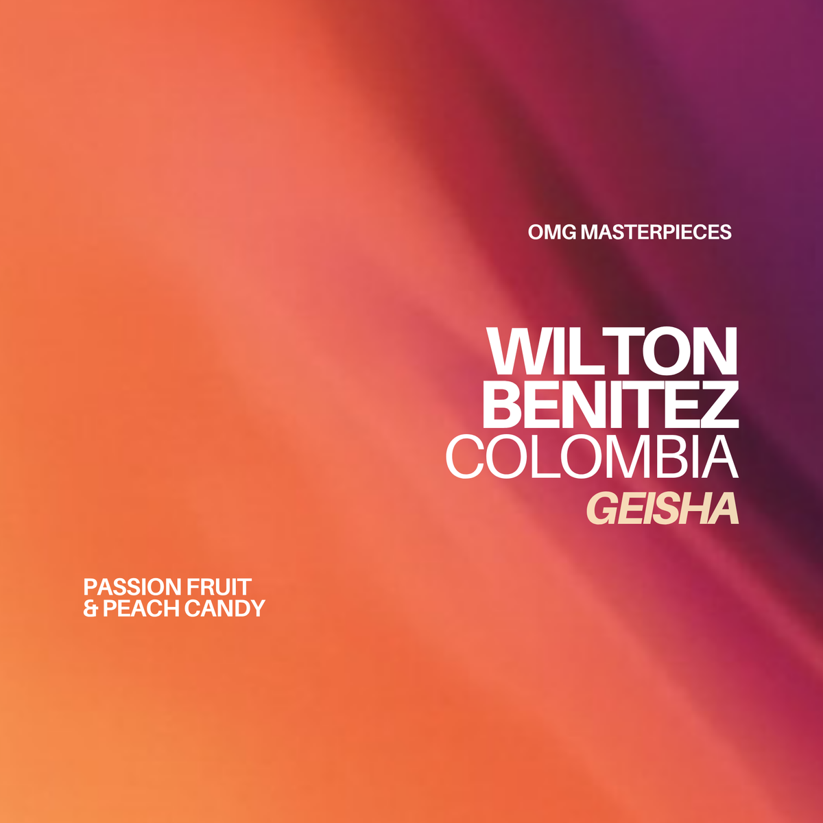 (PRESALE: 15/06 release) OMG Masterpieces // COLOMBIA - WILTON BENITEZ GEISHA | omni - Gust Coffee Roasters